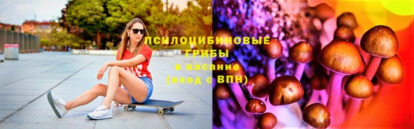PSILOCYBIN Баксан