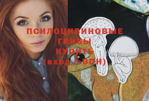 прущая мука Армянск