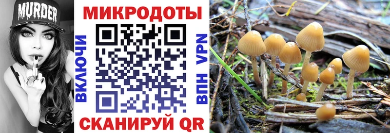 Галлюциногенные грибы MAGIC MUSHROOMS  ссылка на мегу ссылка  Межгорье 